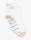 Ecru socks with blue and beige stripes FREBASSAGE / 23E4PGI1SOQ000