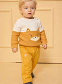 Yellow PANTS LAMAHE / 24H1BGO1PAN107