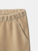 Light beige PANTS NREPANETTE / 25H2PFY1PAN808