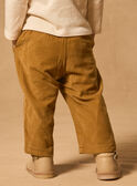 Brown PANTS MAAXEL / 25E1BG71PAN812