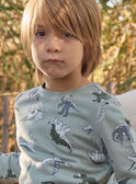 Light green SWEAT SHIRT MISWETAGE / 25E3PG91SWEG600