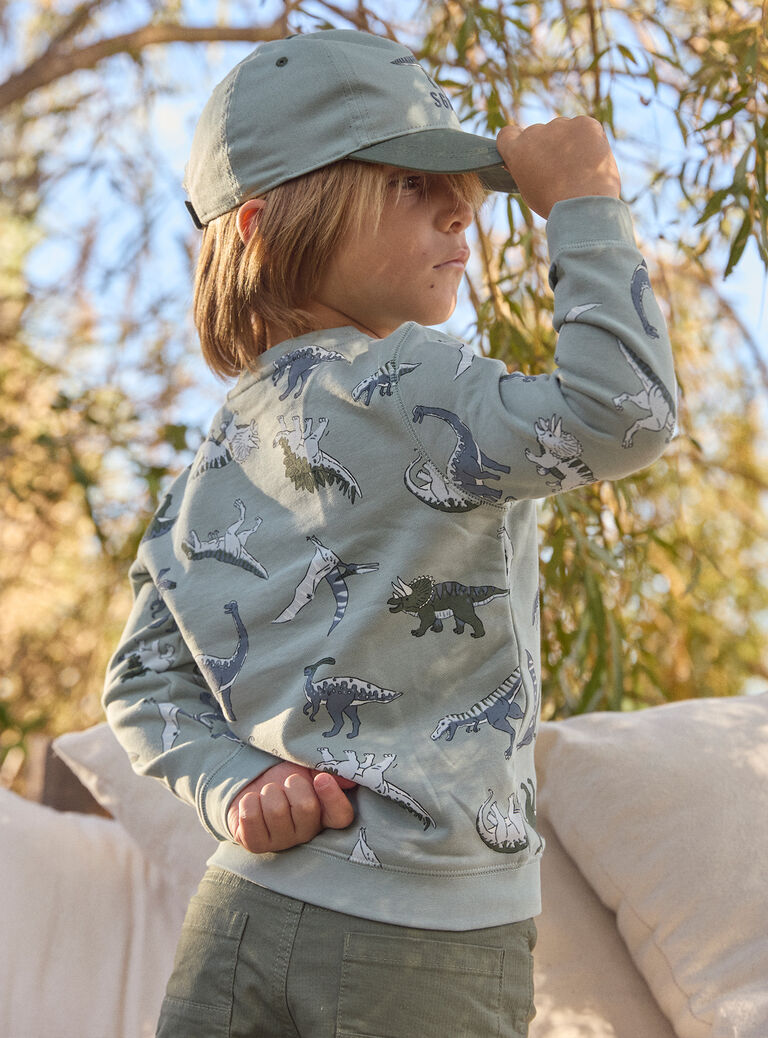 Light green SWEAT SHIRT MISWETAGE / 25E3PG91SWEG600