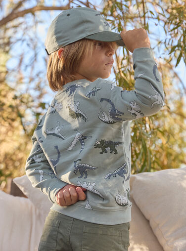 Light green SWEAT SHIRT MISWETAGE / 25E3PG91SWEG600