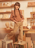 Light brown BLOUSE LIQUETTE / 24H2PFK1CHE809