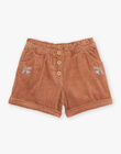 Brown velvet shorts DIASHOETTE / 22H2PFY1SHOI802