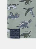 Light green SNOOD MISNODAGE / 25E4PG91SNOG600
