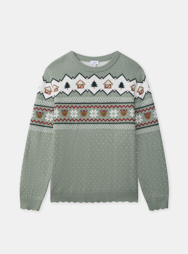 Green PULLOVER NEDULEF / 25H2FF61PULG610