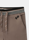 Brown PANTS NIBESTAGE / 25H3PGS1PAN821