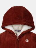 Brown JACKET LIPRINCE / 24H1BG71VESI801