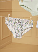 Ivory BRIEFS / PANTY RIB LUIZETTE / 24H5PF51SLR005