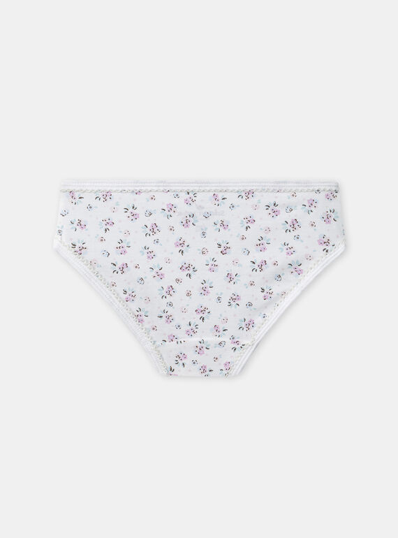 Pale rose BRIEFS / PANTY RIB NEJAZETTE / 25H5PFC4SLR301