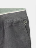 Grey PANTS LADURAGE / 24H3PGQ1PANJ909