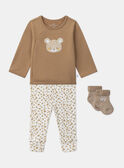 Brown SET MOISE / 25E0CM22ENS821