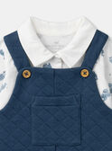 Navy SET LORIS / 24H0CGN1ENS070