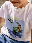 White T-shirt with snail pattern on a skateboard FUCARAGE / 23E3PGN3TMC000