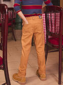Brown PANTS LYBEAGE / 24H3PGO2PANI821