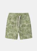 Light green BERMUDA MLEFORTAGE / 25E3PGO3BERG600