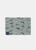 Light green SNOOD MISNODAGE / 25E4PG91SNOG600