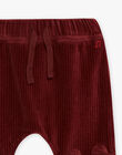 Earth tone corduroy pants DAJENLEY / 22H1BGF1PAN814
