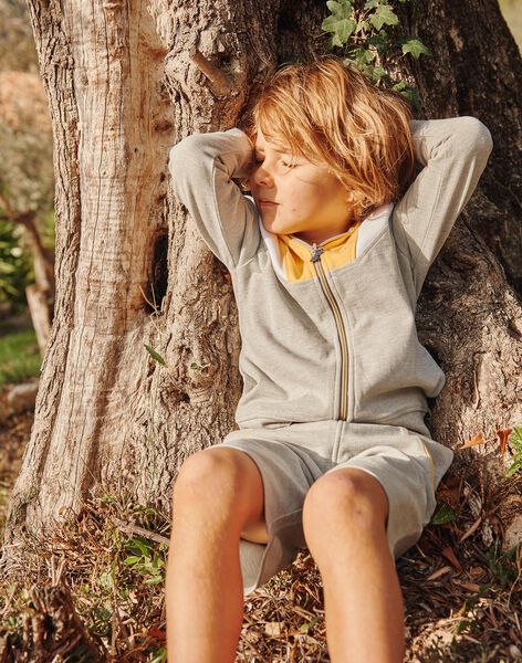 Grey mottled hoodie FLECHAGE / 23E3PGS1GIL943