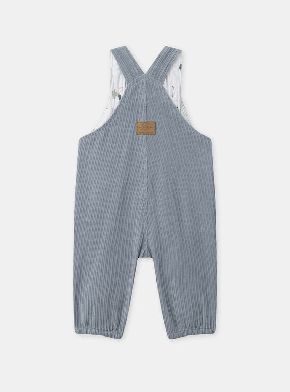 Sky blue DUNGAREES NAUBERT / 25H1BGV1SAL216