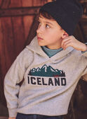 Grey SWEAT SHIRT NLUCAGE / 25H3PGX1SWEJ920