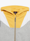 Grey mottled hoodie FLECHAGE / 23E3PGS1GIL943