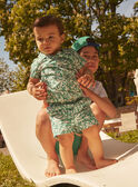 Green SHIRT LABART / 24H1BGI3CHMG624