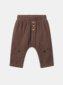 Brown PANTS LAFLO / 24H1BGK1PAN815