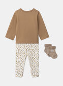 Brown SET MOISE / 25E0CM22ENS821