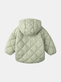 Blue green DOWN JACKET MIMORGANE / 25E1BF31D3E614