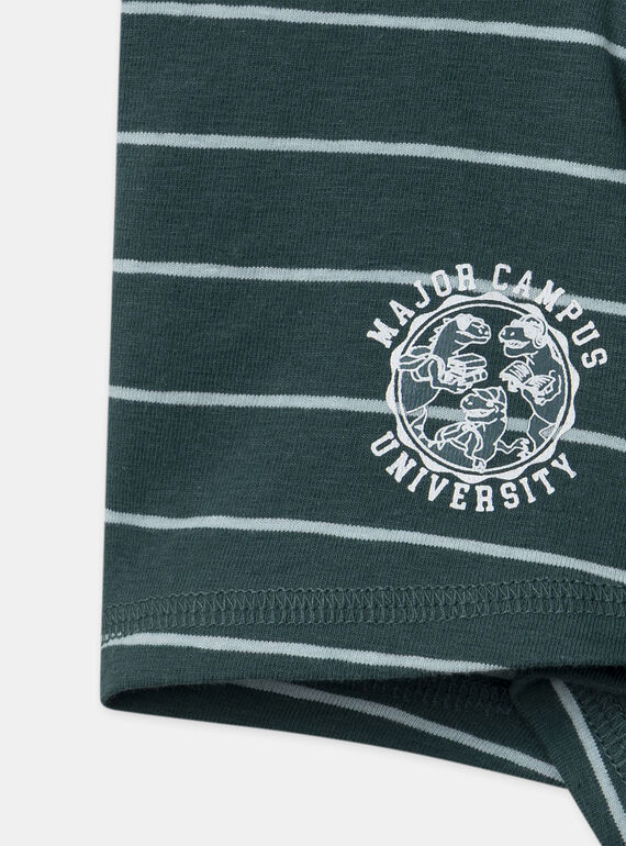 Green BOXER NUIBOXAGE / 25H5PGC1BOX608