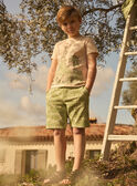 Vanilla TEE SHIRT SS MLEARIAGE / 25E3PGO1TMC114