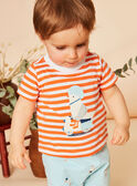 Papaya t-shirt with stripes print FAYVON / 23E1BGR1TMCE405