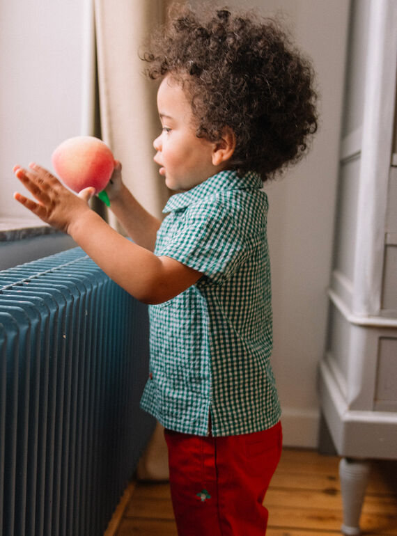Baby boy green and white gingham shirt CATARCEL / 22E1BGM1CHMG627