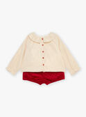 Blouse and shorts set in gold and red velvet GATABITA / 23H1BFN1ENS954