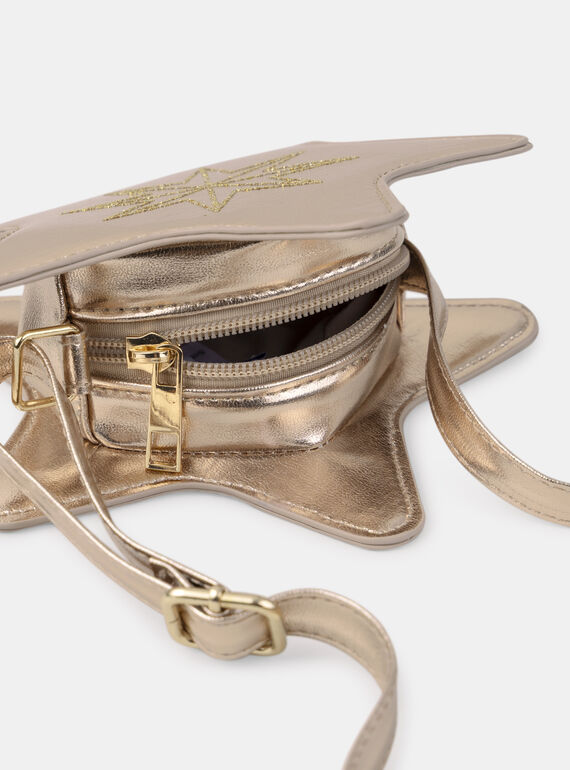 Gold BAG AND POUCH NREBAGETTE / 25H4PFY2BES954