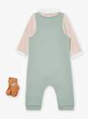 Kaki SET LOIC / 24H0CG12ENS604