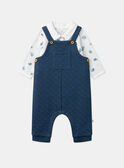 Navy SET LORIS / 24H0CGN1ENS070