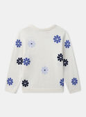 Vanilla PULLOVER MESWETTE / 25E2PF81PUL114