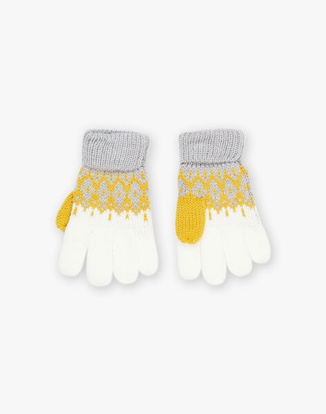 Tricolor acrylic gloves DEGANAGE / 22H4PGM2GANJ922