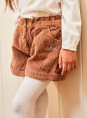 Brown velvet shorts