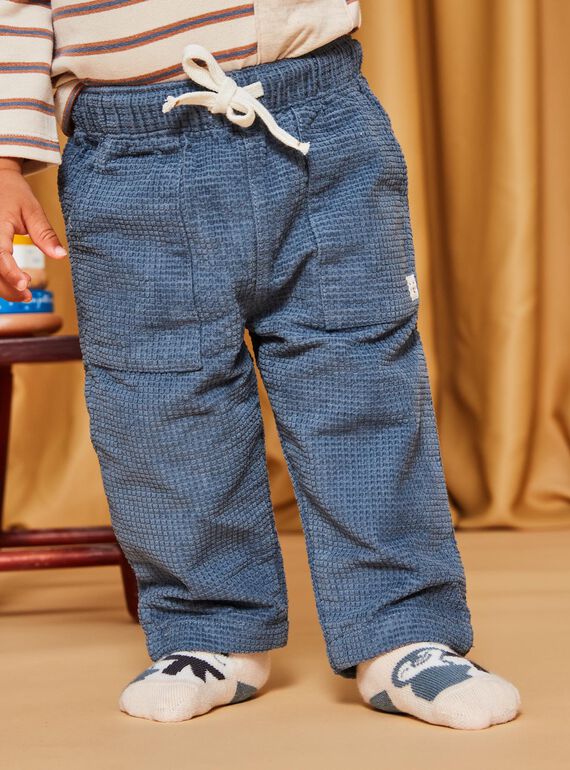 Grey blue corduroy pants DASECTOR / 22H1BGY2PAN205