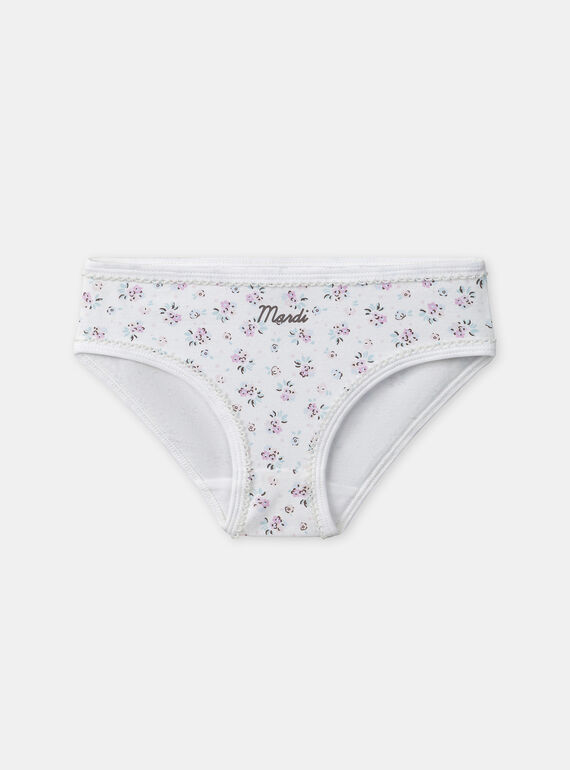 Pale rose BRIEFS / PANTY RIB NEJAZETTE / 25H5PFC4SLR301
