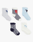5 Pairs of Blue and Gray Socks FRILOTAGE / 23E4PGJ1LC5070