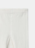 Off white TIGHTS MACOTLETTE / 25E4PF71COL001
