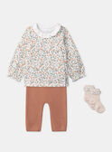 Off white SET NOLITA / 25H0CFO2ENS001