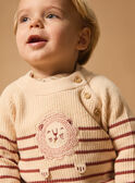Vanilla PULLOVER MAANTOINE / 25E1BG71PUL114