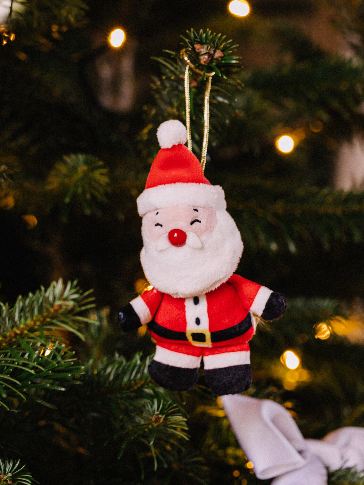 Santa claus store ornaments