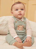 Kaki SET LOIC / 24H0CG12ENS604